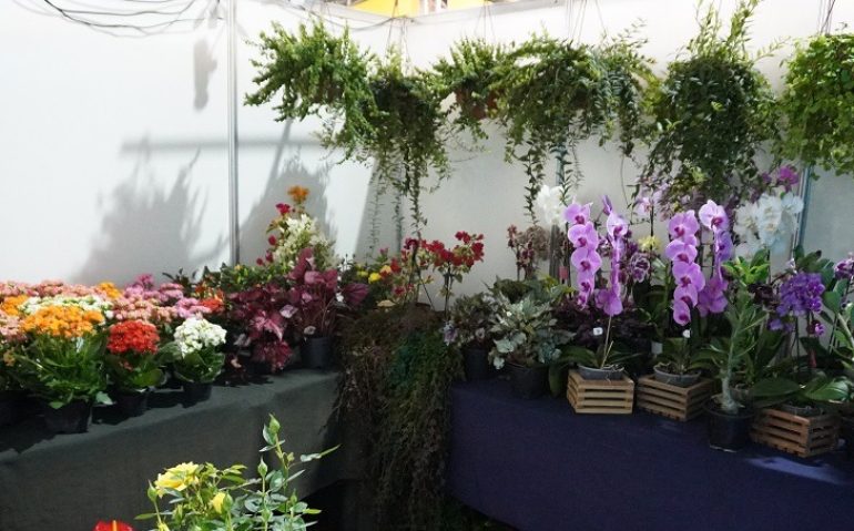 Feira-de-Artesanato-e-Flores-Torre-3