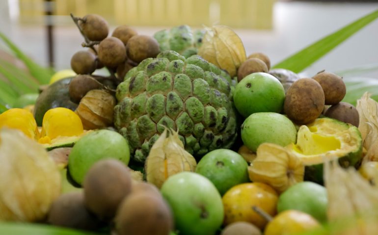 Frutos-do-cerrado-2-Foto-Alvaro-Henrique-1-1536x864