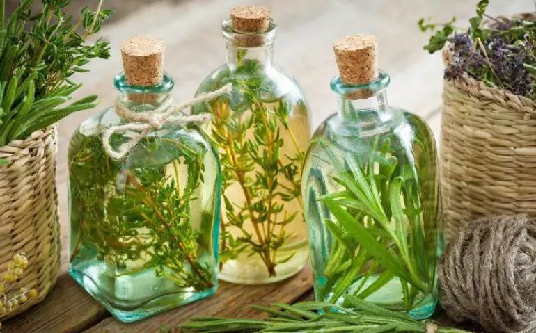 plantas
