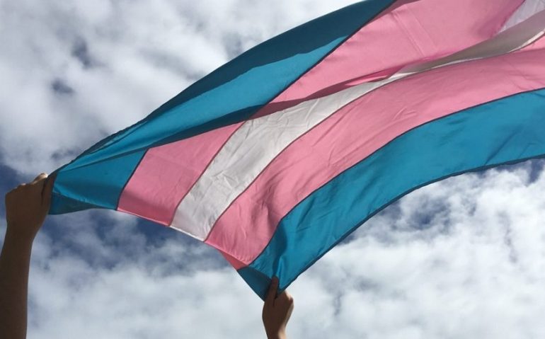 visibilidadeTrans1
